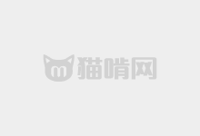 特惠字體！39.9元永久商用！鼎獵情書(shū)體正式發(fā)布！-貓啃網(wǎng)