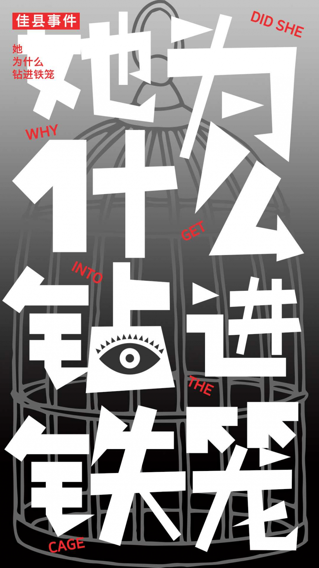 陜西佳縣事件-鐵籠女